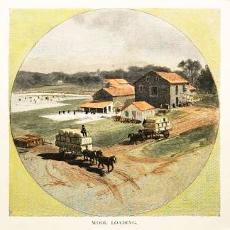 Wool Loading. - Antique View from 1886