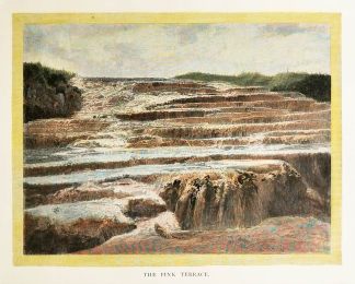 The Pink Terrace. - Antique View from 1886