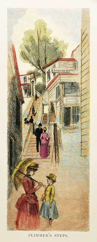 NZ-Plimmer’s Steps. NEW ZEALAND