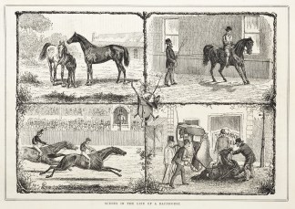 Scenes in the Life of a Racehorse. Australiana (General)