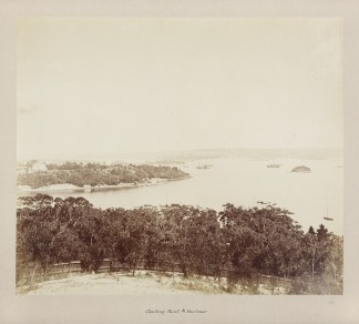 [Darling Point & Harbour] Australian photographs