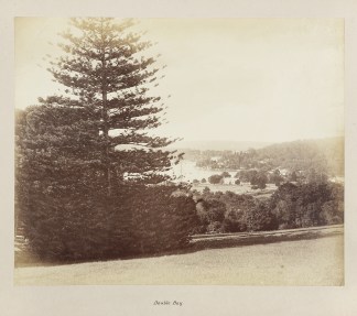 [Double Bay] Australian photographs
