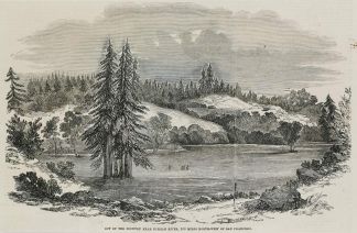 View of the Country near Russian River, 100 miles North-West of San Francisco. - Antique View from 1851