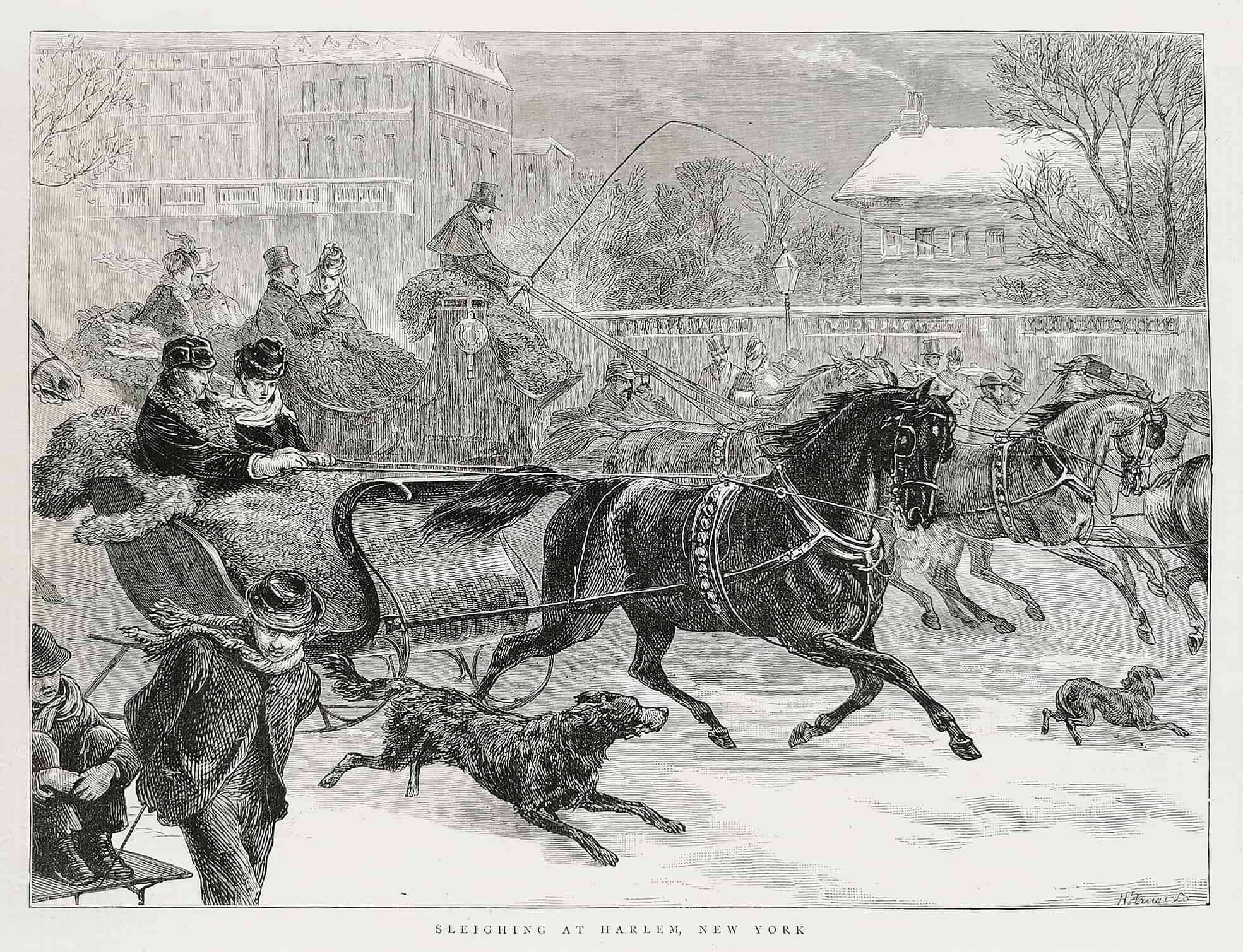 Sleighing at Harlem, New York. - Antique View from 1873
