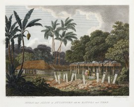 TAHITI MISSIONARIES-Morai and altar at Attahooro with the Eatooa and Tees.