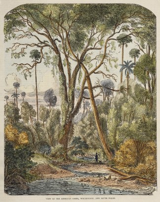 Scene on the American Creek, Wollongong,… Regional
