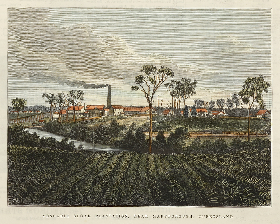 Yengarie Sugar Plantation, near Maryborough, Queensland. - Antique View from 1884