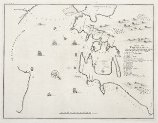 Baay van Tricoen Male South Asia