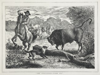 “The Challenge-‘Come on.'… Australiana (General)