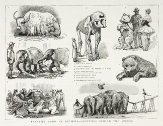 Barnum’s Show at Olympia-Sketches … PRINTS & PHOTOGRAPHS