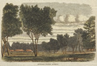 Mulwalla Station Riverina. Regional