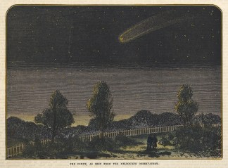 The Comet, as seen from the Melbourne Ob… Melbourne