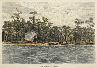 The Beach in 1836-37. Melbourne