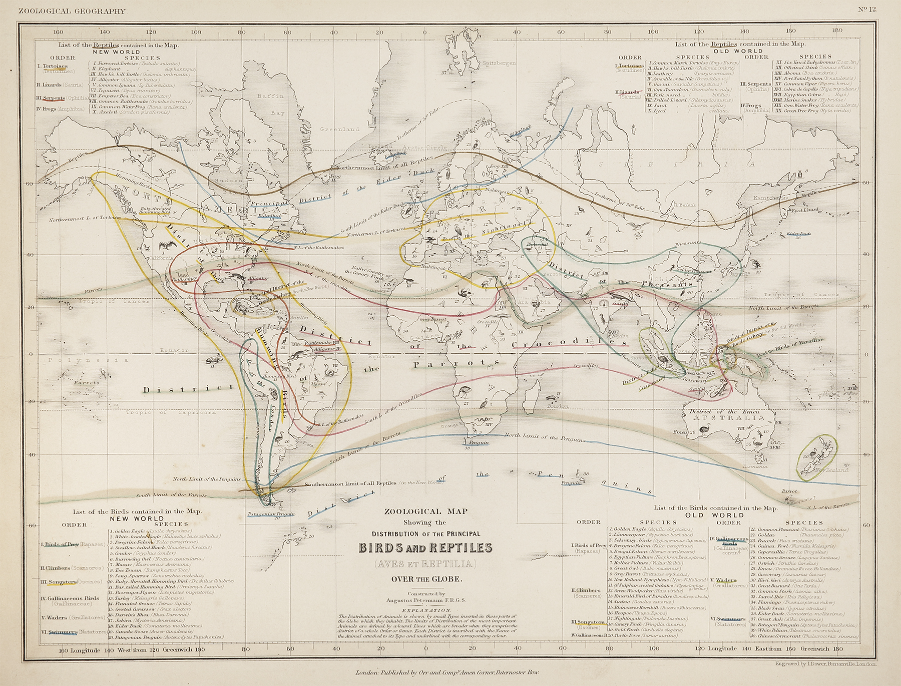 Zoological Map Showing the Distribution of the Principal Birds and Reptiles (Aves et Reptilia) Over the Globe. - Antique Map from 1850