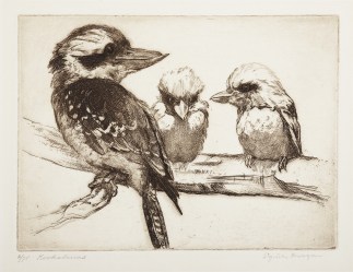 Kookaburras Australian Printmakers