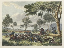 Sketches in Australia-Kangaroo Hunting General - Australiana