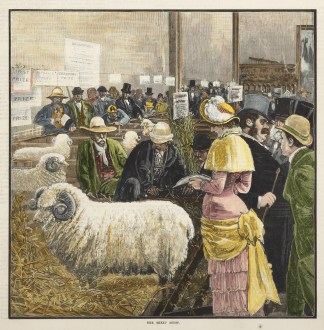 The Sheep Show. AUSTRALIA