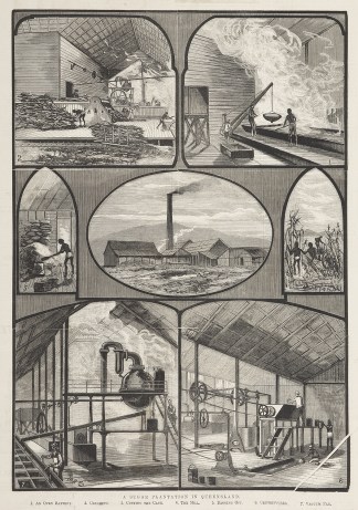 A Sugar Plantation in Queensland. Sugar - Sugar cane, mills, etc