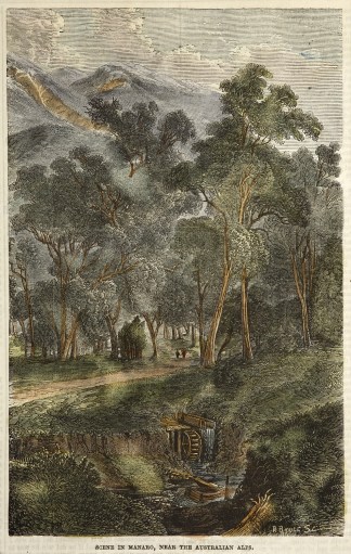 Scene in Manaro, Near the Australian Alp… Regional