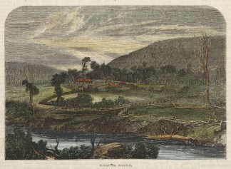 Nangutta Station. Regional