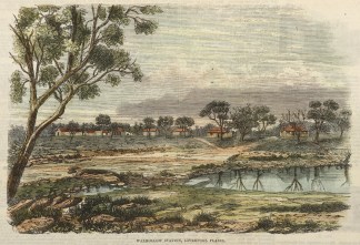 Walhollow Station, Liverpool Plains. Regional