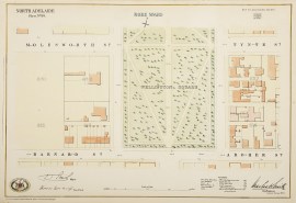 [Wellington Square] North Adelaide Sheet No. 98