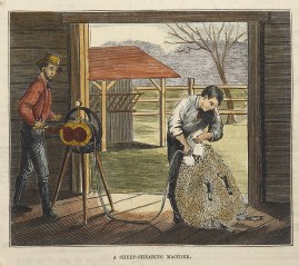 A Sheep-Shearing Machine.