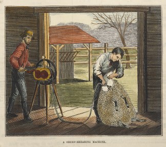 A Sheep-Shearing Machine. PRINTS & PHOTOGRAPHS
