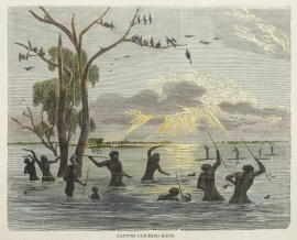 Natives Catching Birds.