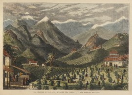 Tea Culture in China.-A Hillside Tea Garden in the Taeping District. China Tea Culture in China.-A Hillside Tea Garden in the Taeping District.