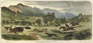 Sports in Australia-The Emu Hunt. Australiana (General) Sports in Australia-The Emu Hunt. Australiana (General)