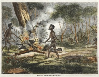 Aboriginals Roasting Emu. First Nations History