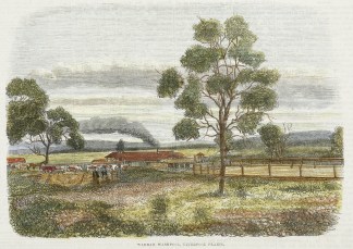 Warrah Washpool, Liverpool Plains. Regional