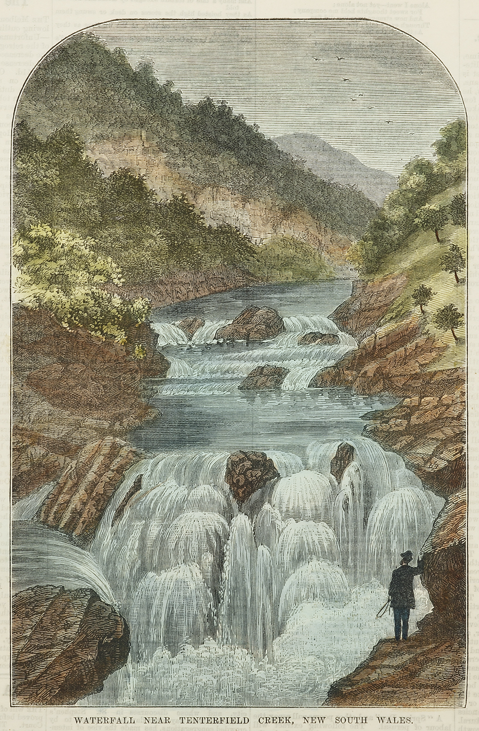 Waterfall near Tenterfield Creek, New South Wales. - Antique View from 1879