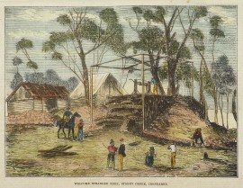 Welcome Stranger Reef, Stoney Creek, Ironbarks.