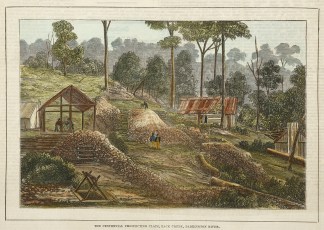 The Centennial Prospecting Claim, Back C… Regional