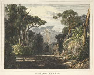 Road Near Fernshaw Regional