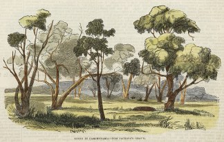 Scene in Carpentaria-Tom Jackson’s… Northern Territory