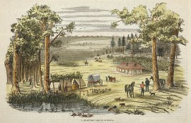 A Selectors’ Camp in Riverina. Acquisitions Prints A Selectors' Camp in Riverina.
