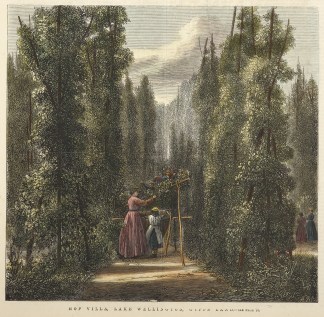 Hop Villa, Lake Wellington, Gipps Land. Regional