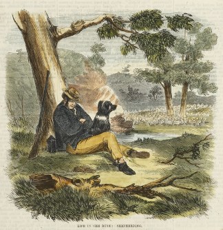 Life in the Bush: Shepherding sic Australiana (General)