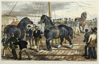 Landing Draught Entires at Sandridge. Melbourne