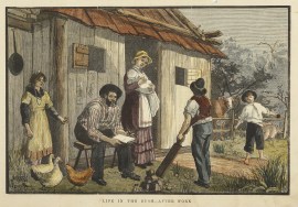 Life in the Bush-After Work.