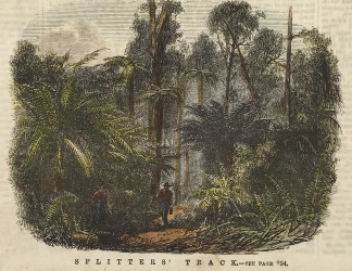 Splitters’ Track. Regional