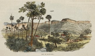 View at Illawarra. Regional