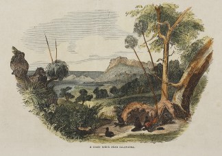 A Coast Scene near Illawarra. First Nations History