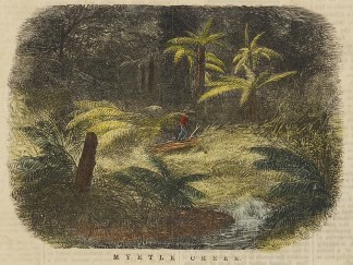 Myrtle Creek. Regional