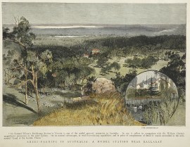 Sheep-farming in Australia: A Model Station near Ballarat.