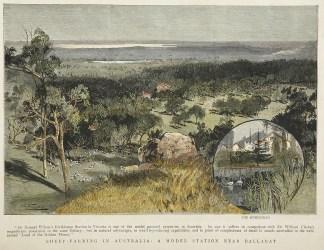 Sheep-farming in Australia: A Model Stat… Regional