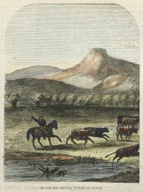 Mount Macarthur, Liverpool Ranges. NSW - Country Mount Macarthur, Liverpool Ranges.